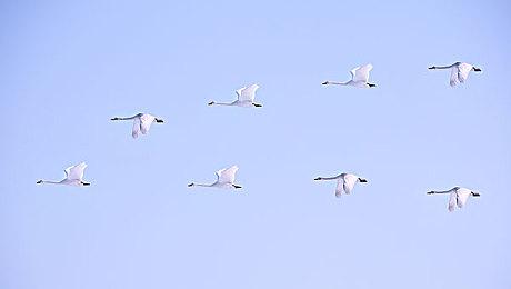 《生化奇兵：无限》登陆任天堂SFC 这画面让人震惊